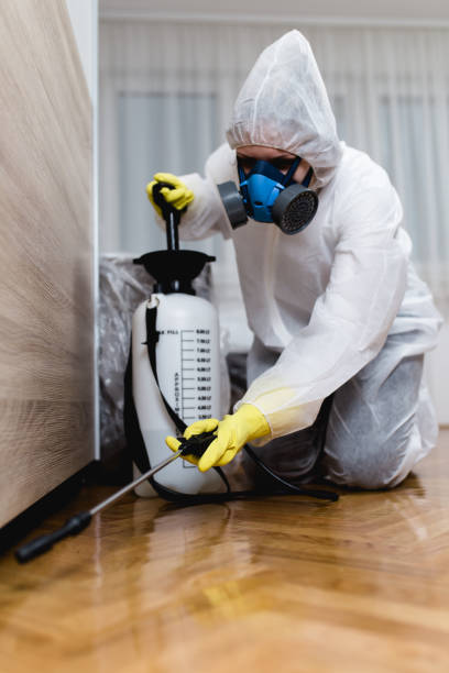 Best Fumigation Services  in South Oroville, CA